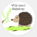 Suche nach cartoon igel aufkleber Tierwelt