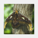 Suche nach atlas Natur