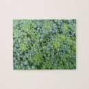 Suche nach veggies puzzle Nahrung