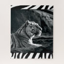 Suche nach weißer tiger puzzle Tierwelt