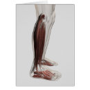 Suche nach bein anatomie postkarten Digital generiertes bild