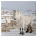 Suche nach equus untersetzer Schnee