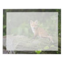 Suche nach fuchs notizblock Niedlich