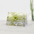 Suche nach chrysantheme karten Natur