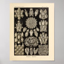 Suche nach vintage ocean poster Meer