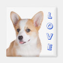 Suche nach pembroke welsh corgi magnete Schmutzig