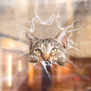 Suche nach kitschige autoaufkleber Spaß