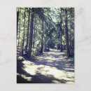 Suche nach wald postkarten Naturfotografie