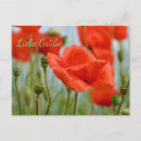 Suche nach rote mohnblumen postkarten Feld