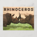 Suche nach nashorn postkarten Afrika