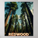 Suche nach california poster Rotholzpark