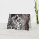 Suche nach schneeleopard karten Wild lebende tiere