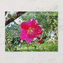 Suche nach hollyhock poster Sommer
