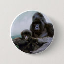 Suche nach primats buttons Gorillas