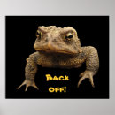 Suche nach niedliche amphibien poster Frösche