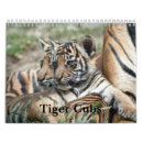 Suche nach tiger kalender Wild lebende tiere