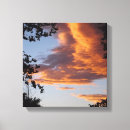 Suche nach wolken leinwandbilder Rosa