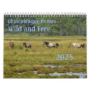 Suche nach pferde kalender Tierwelt