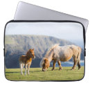 Suche nach fohlen laptop schutzhüllen Ranch