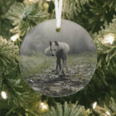 Suche nach siberian husky ornamente Hund