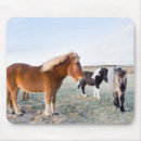 Suche nach skandinavien mousepads Heide