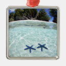 Suche nach island ornamente Meer