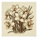 Suche nach vintage botanische poster Bouquet