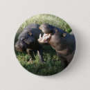 Suche nach nilpferde buttons Hippos