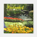 Suche nach keukenhof magnete Tulpe