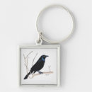 Suche nach krähe schlüsselanhänger Natur