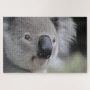 Suche nach niedlicher koala puzzle Australien