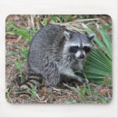 Suche nach verlassen sie mousepads Computer