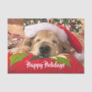 Suche nach feiertagsgruß Hund