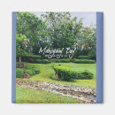 Suche nach honduras magnete Roatan