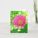 Suche nach peony karten Blumenreich