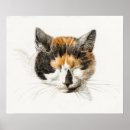 Suche nach katzen skizze poster Illustration
