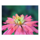Suche nach vibrierend poster Mit blumen