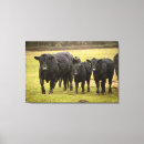 Suche nach rinder poster leinwandbilder Landwirtschaft