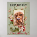 Suche nach cocker spaniel hund poster Kaninchen