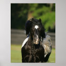 Suche nach sinti und roma vanner poster Pferd