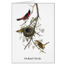 Suche nach john james audubon Natur