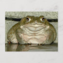 Suche nach bufo poster Toad