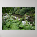 Suche nach zen garten poster Blume
