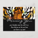 Suche nach vermisste katze postkarten Katzen