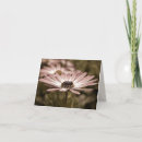 Suche nach macro karten Blume