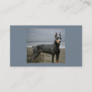 Suche nach dobermann alle visitenkarten Welpe