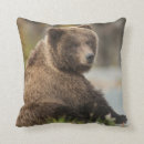Suche nach braunbär kissen Graubär