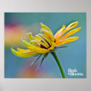 Suche nach gärtner poster Vögel und blüte