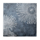 Suche nach anemone fliesen Aquarell