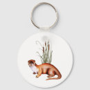 Suche nach mustelids Otter